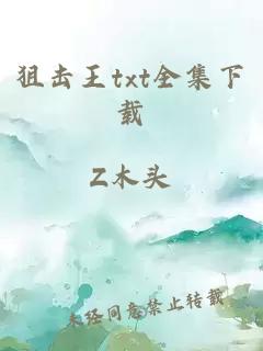 狙击王txt全集下载