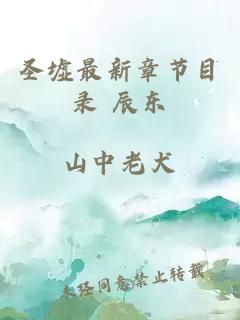 圣墟最新章节目录 辰东